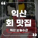 참치와 활어의 완벽한 만남 익산 회 맛집 오늘수산