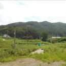 경기도 양평군 수입초등학교 이미지