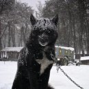 타이밍  포토 이미지