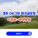 경주시니어클럽국시사랑 | 경주 OK 그린 파크골프장 이용료·예약방법 총정리 (36홀 코스 후기 포함)
