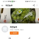 차칸농부