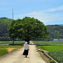 야로경로당 이미지