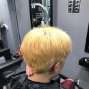 피가로스