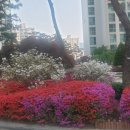 강남태평양약국 이미지