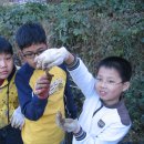양산 신기초등학교 어린이 텃밭체험 이미지