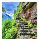 랙돌캐터리 알렉산더돌스 | 알렉산더돌스에서 만나는 랙돌 캐터리의 특별한 매력과 관리법