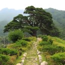 솔고개로 이미지