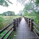 갈대습지공원 이미지