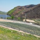 제이엠콘크리트(주) 이미지