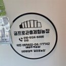 양평유치원 | 먹이도 주고, 교감도 할 수 있는 양평실내동물원 굼프로곤충체험학습농장 후기