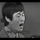 마스터인사이트