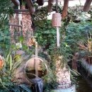 자연속에 고기세상 이미지