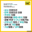 디에스플러스