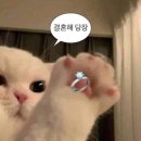 리치팰리스 | EP 14) 한복스냅 메이크업 뷰티팰리스 후기