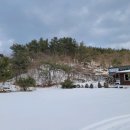 장바우식당 이미지