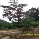 속리산계곡펜션 이미지