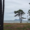 소나무하우스 | 부안 변산반도국립공원 고사포야영장 하우스 이용후기, 멋진 소나무숲과 환상적인 노을을 즐길 수 있다～!