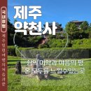 관음사 일주문 및 종각 | 제주 가볼만한 절 강아지 동반 약천사