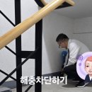캐슬모텔 | 군산바퀴벌레 개미 쥐 퇴치 하기 위한 대처방법