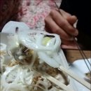 충만치킨 - 전주시 덕진구 오공로 43-48 | 충만치킨