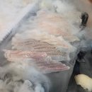 여부초밥강릉점 | 강릉 경포대 맛집 천둥회와 물회 내돈내산 솔직후기