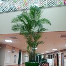 우솔초등학교 이미지