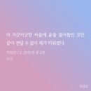 담스포