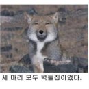 레전드학원 - 군포시 광정로 70 | 레전드학원