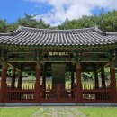 도선