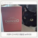 큐덴탈 | 고양이 간식 추천 치석관리에 좋은 뉴트리오 덴코큐 덴탈껌 후기