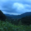 김전지 이미지