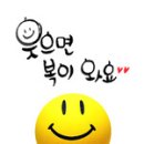 새만금 청보리농장 이미지