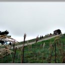 우산목장 이미지