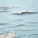 오션파크 이미지