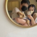 스테이제부(3) 네이버블로그