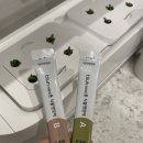 자라는 씨앗 | LG 틔운 미니 로메인 한달 키운 후기/ LG틔운 미니 한달 사용후기(로메인씨앗키우기)