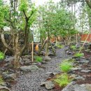 광이멀 103 이미지