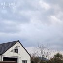 구좌중앙초등학교 | 제주도펜션 일사일 5월 국내여행 제주도 가볼만한곳 가까운 숙소