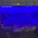 이동대원주유소 이미지