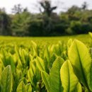 14-1코스 이미지