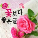 🎀이렇게 좋을 수가! 콩나물이 치매 예방의 특효🎀 이미지