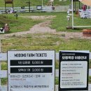 모동모동 | (상주) 상주 애견동반 모동목장