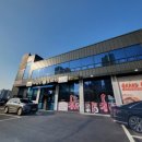 메밀밭도야지 이미지