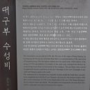 대구부수성비 이미지