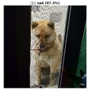 파스스