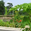 서주길(와룡면) 이미지