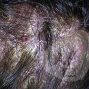 이종석경희한의원 이미지