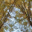 한국폴리텍V대학 익산캠퍼스 이미지