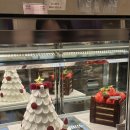 국수나무 시지점 | 서울 시청역 5성급 더 플라자호텔 지스텀하우스 결혼식 하객 후기