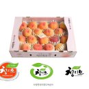 농특산물 판매촉진사업 이미지